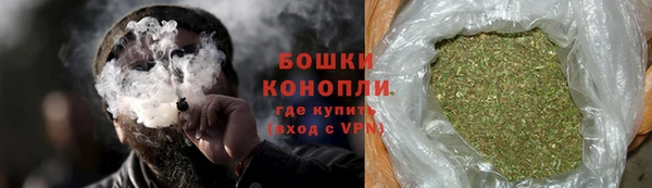 PSILOCYBIN Покачи