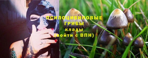 ECSTASY Покров